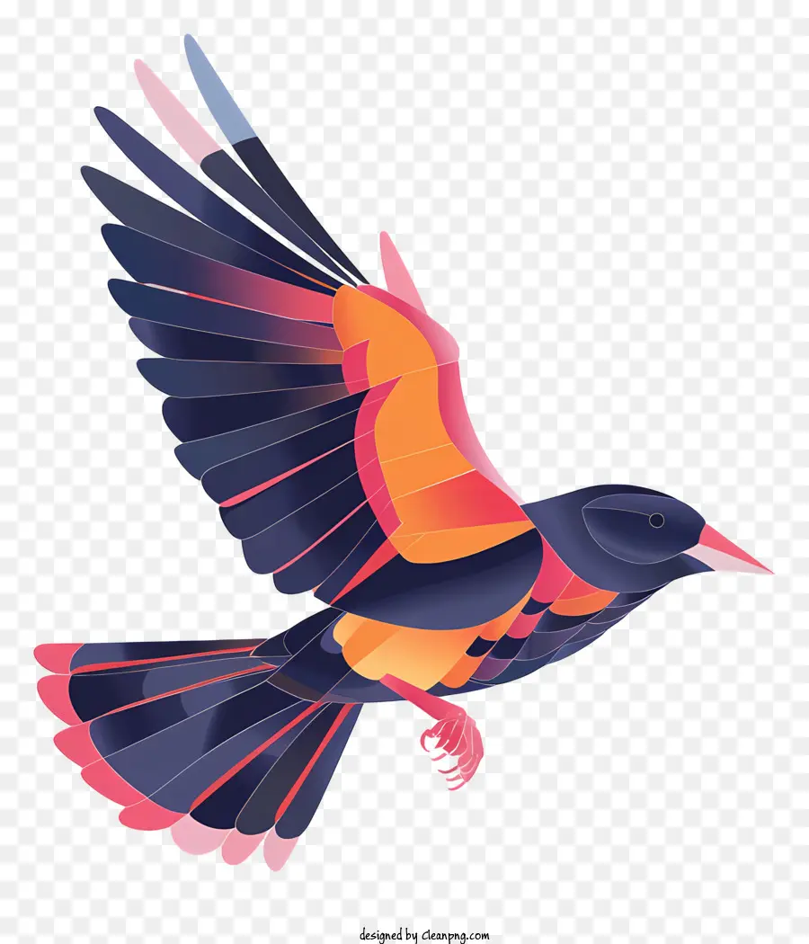 Burung Terbang，Burung PNG