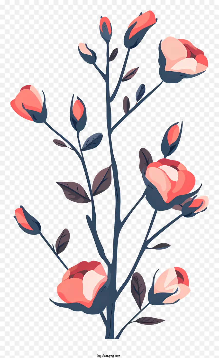Cabang Rose Buds，Bunga Merah Muda PNG