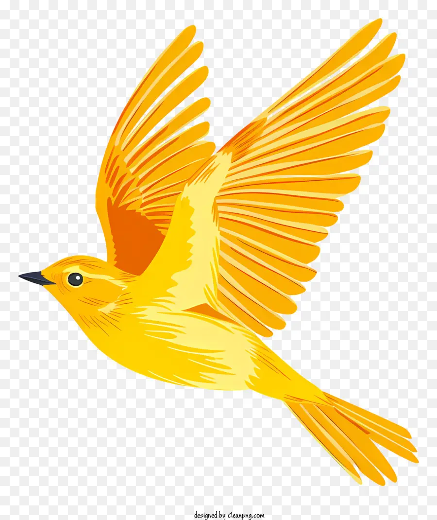 Burung Terbang，Burung Kuning PNG