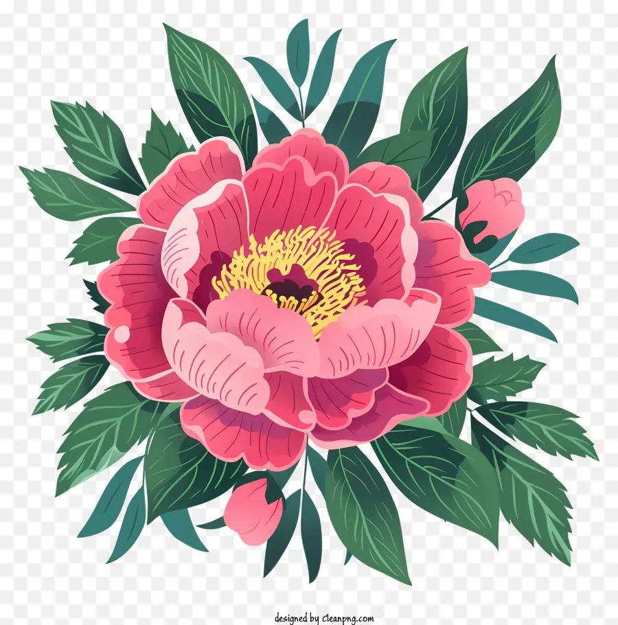 Bunga Peony，Kelopak Merah Muda PNG