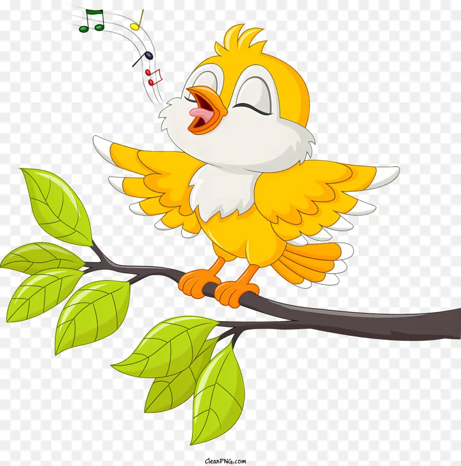 Burung，Burung Kuning PNG