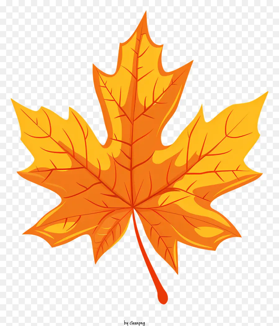 Daun Maple，Orange PNG