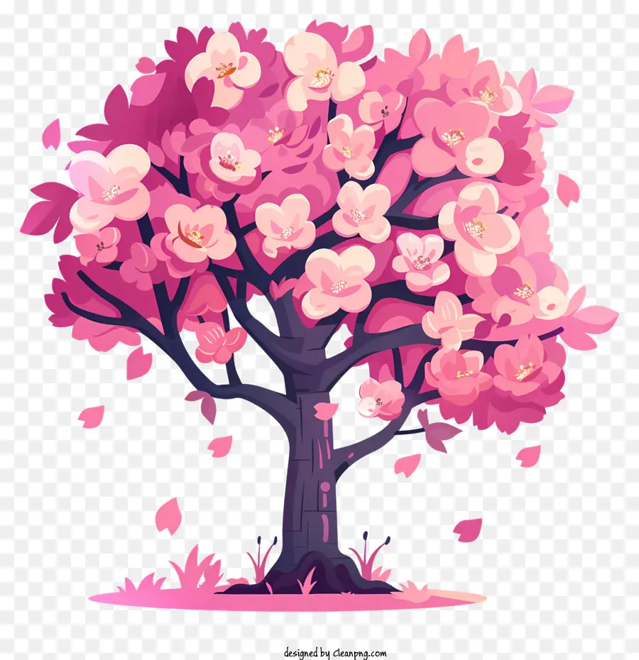 Sakura，Pink Pohon PNG
