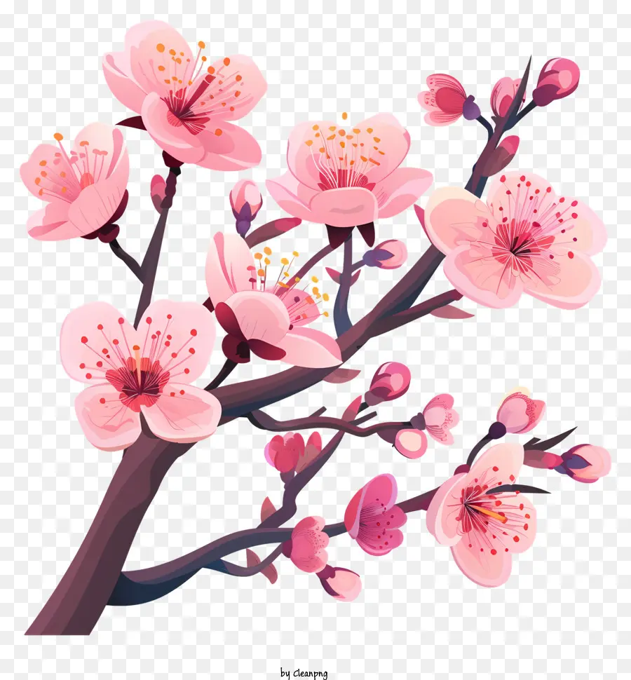 Bunga Sakura，Musim Semi PNG