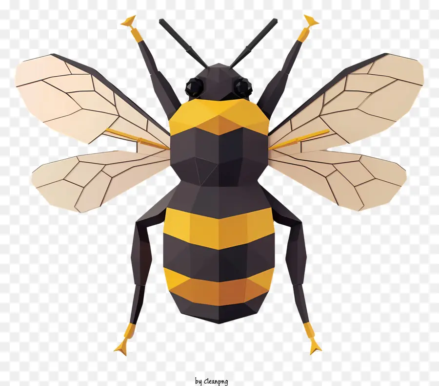 Lebah，Hitam Bee PNG