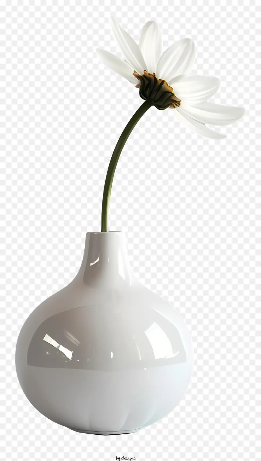 Bunga，Vas Putih PNG