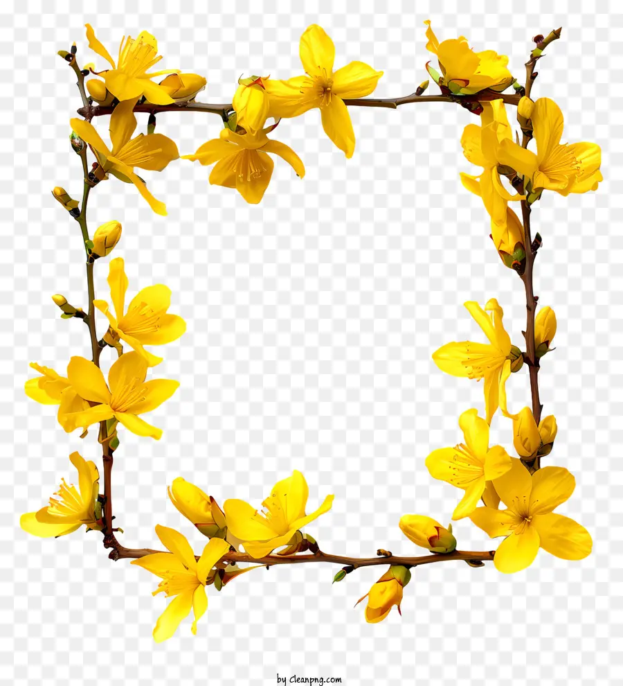 Bunga Forsythia，Bingkai Bunga Kuning PNG