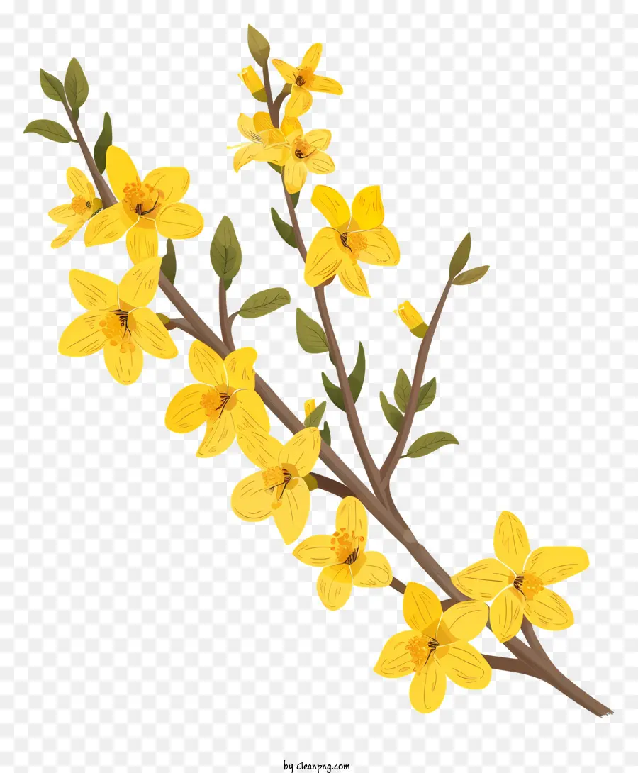 Bunga Forsythia，Bunga Kuning PNG