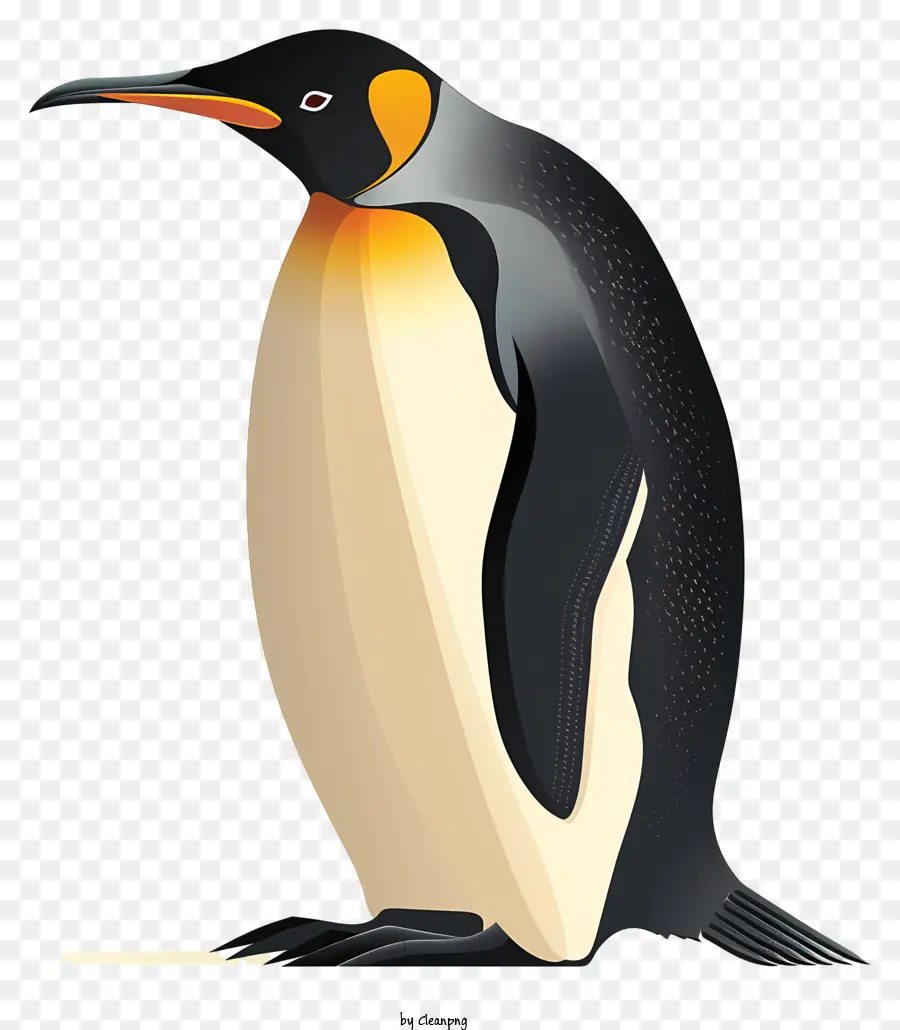 Dunia Penguin Hari，Penguin PNG