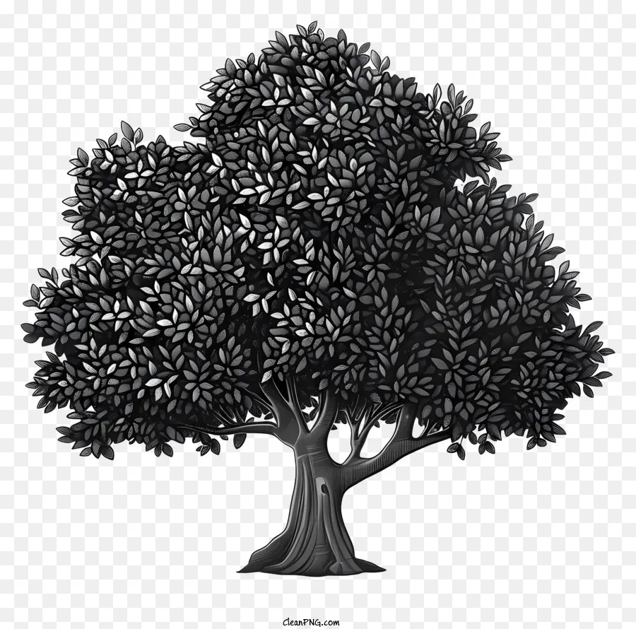 Pohon Siluet，Pohon PNG