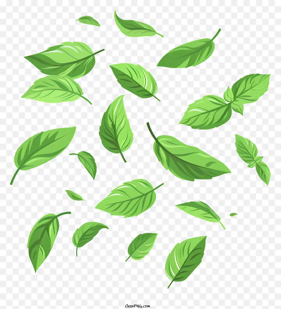 Permen，Daun Mint PNG