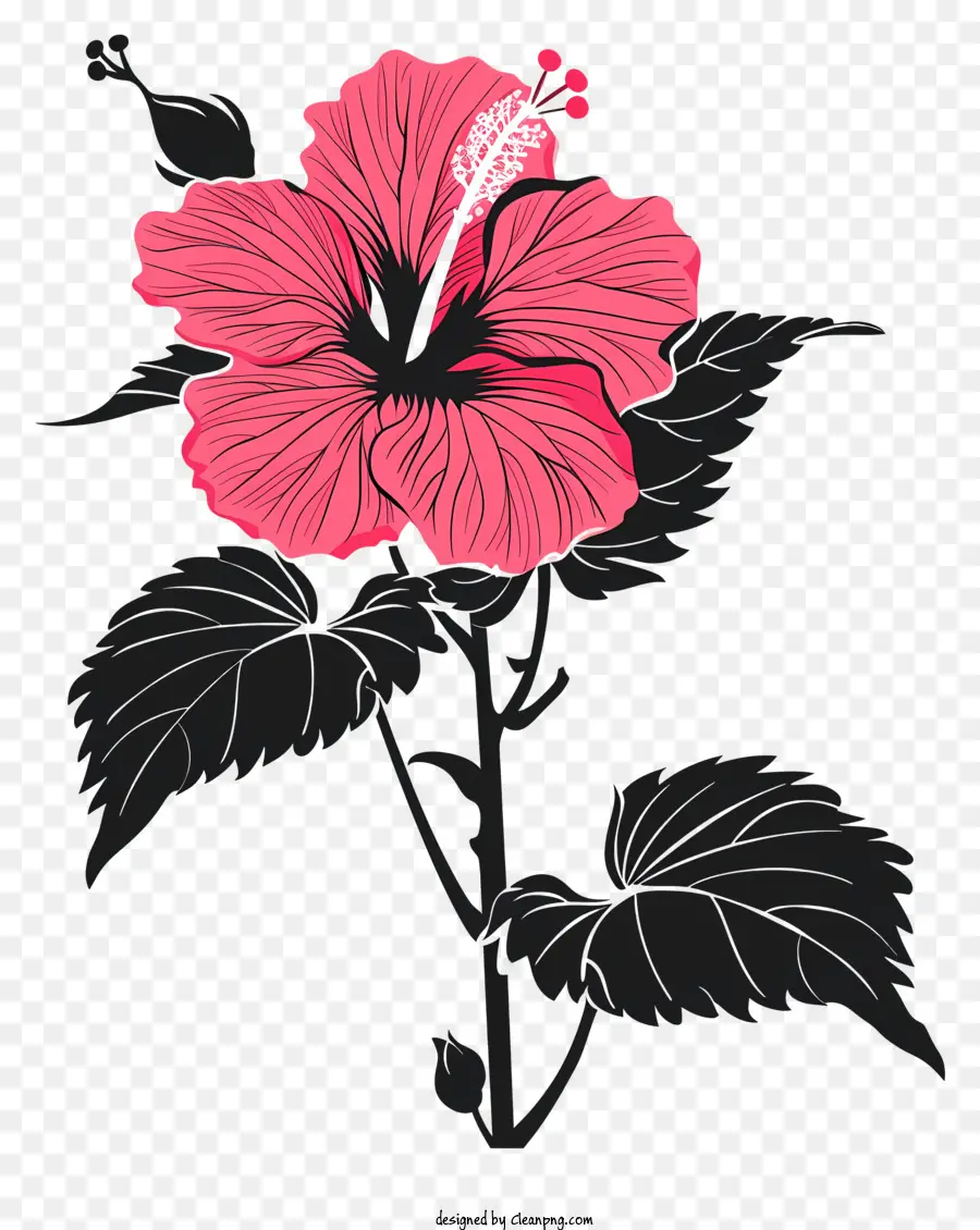 Bunga Siluet，Bunga Hibiscus Pink PNG