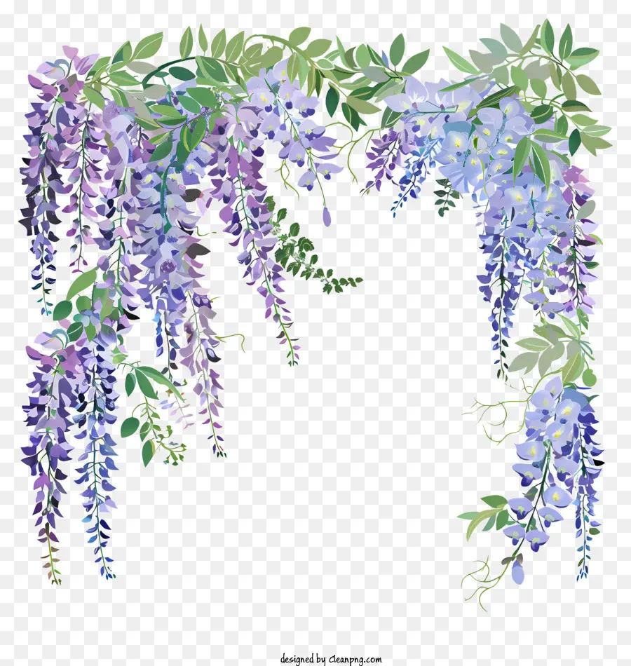 Pojok Wisteria，Bunga Wisteria PNG