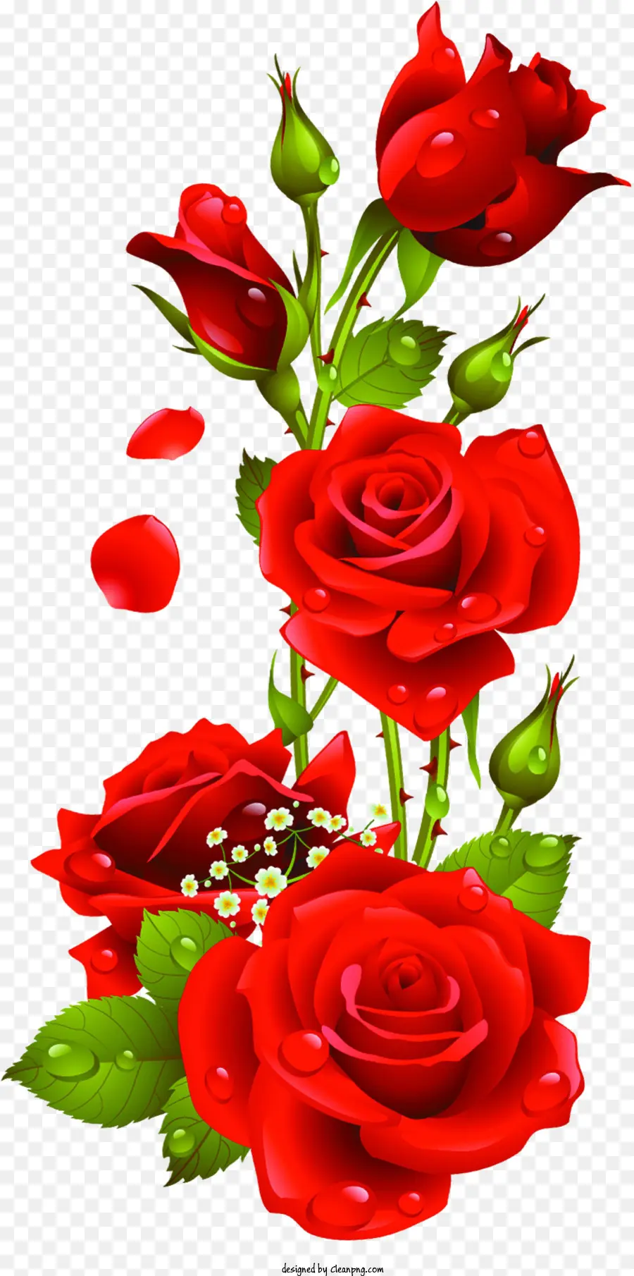 Mawar，Mawar Merah PNG