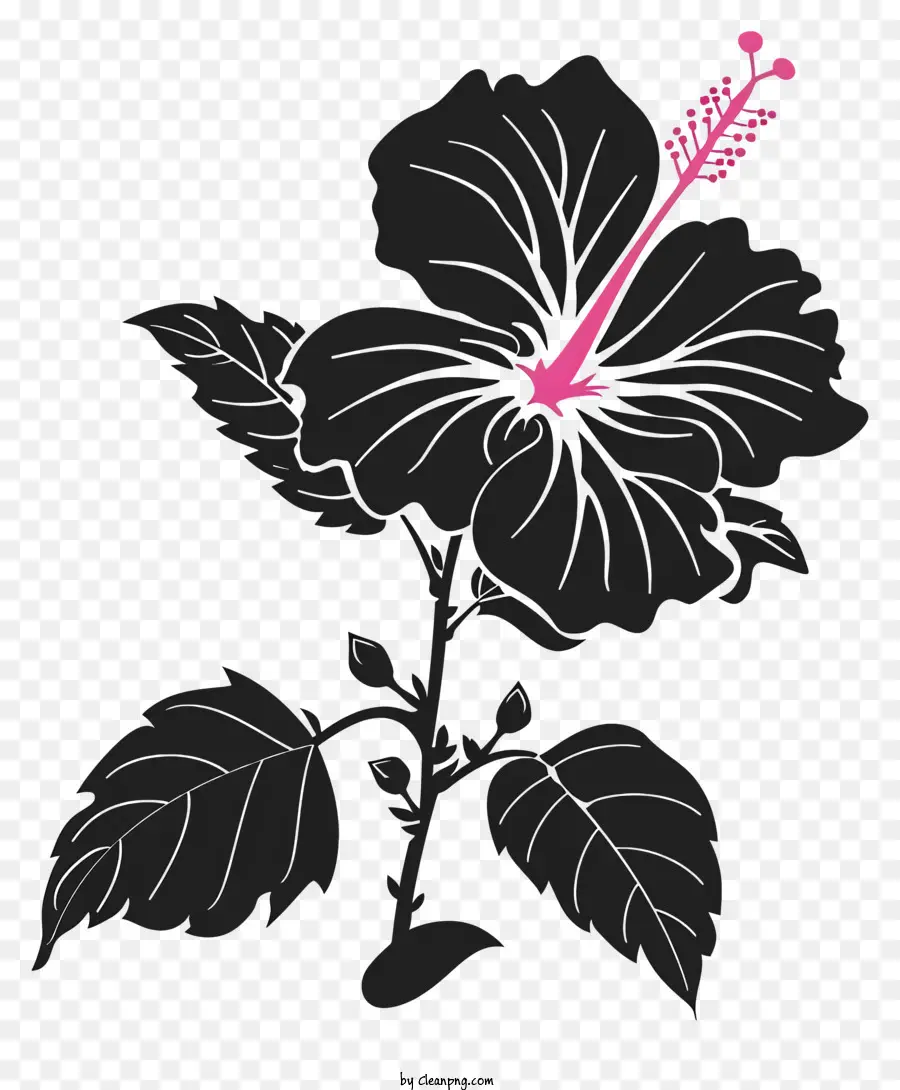 Bunga Siluet，Kembang Sepatu PNG