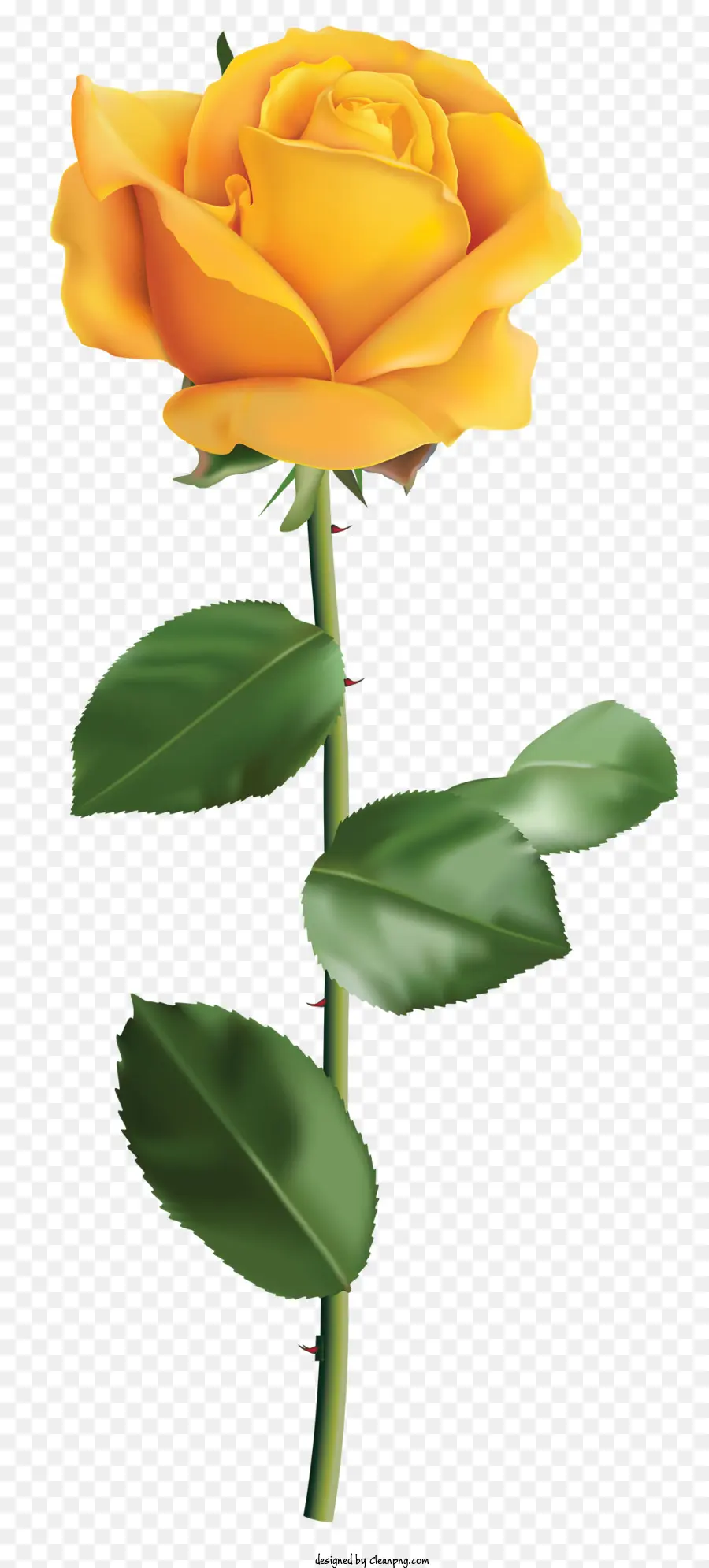 Mawar，Mawar Kuning PNG