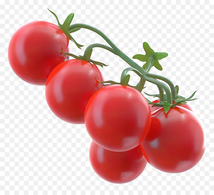 Tomat Cherry，Tomat Matang PNG