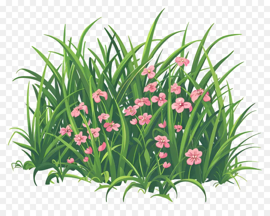 Rumput，Bunga Merah Muda PNG