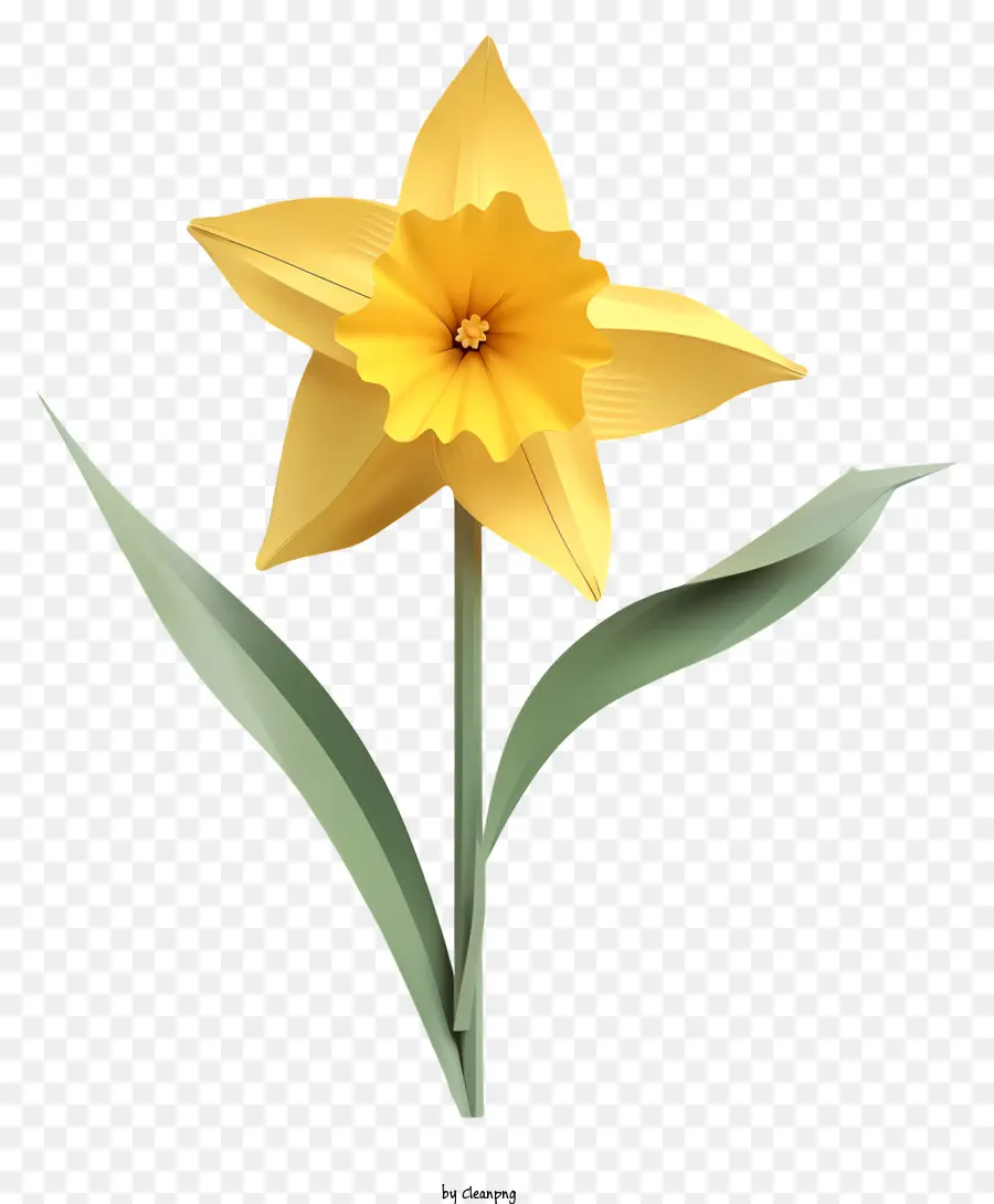 Daffodil，Bunga PNG