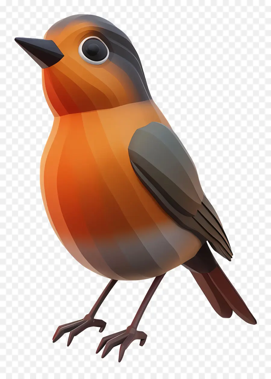 Robin，Burung Berwarna Warni PNG