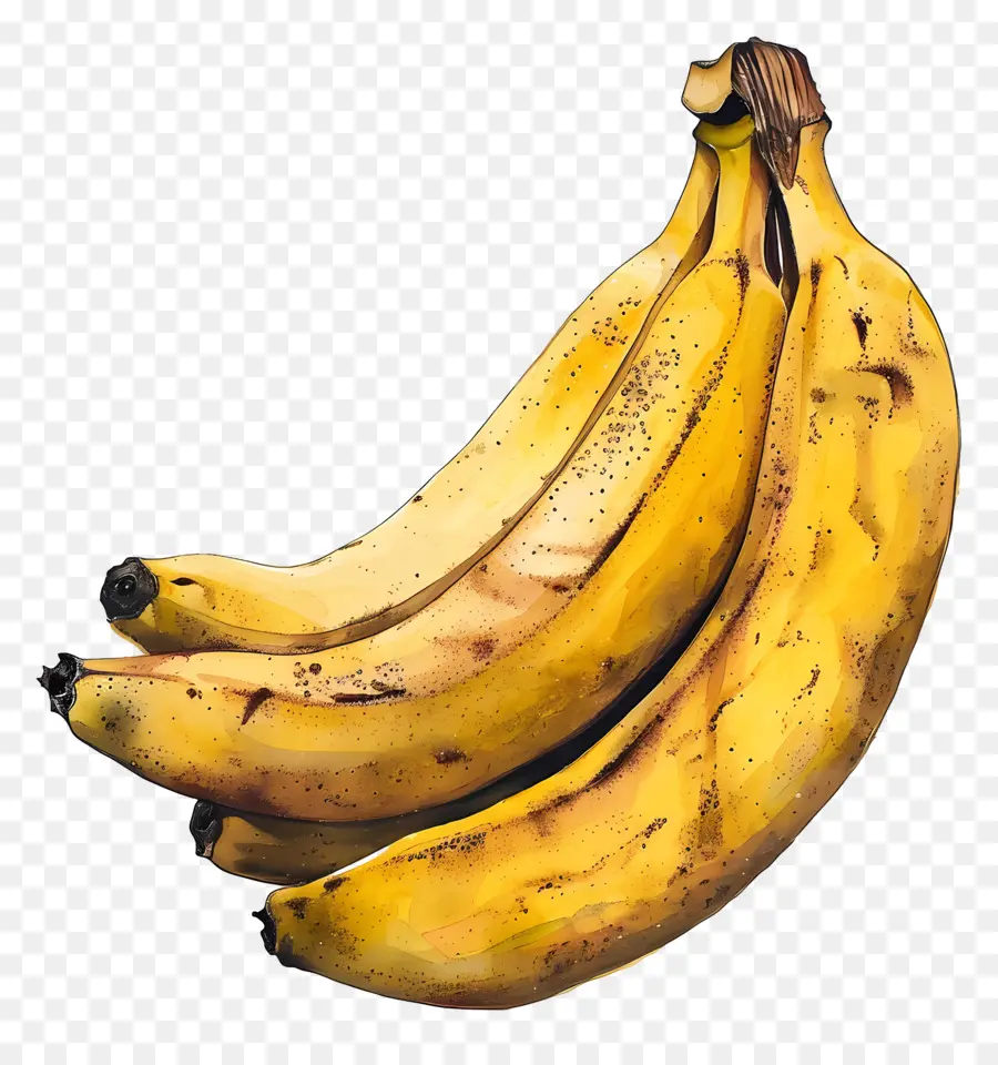 Hari Pisang，Pisang PNG