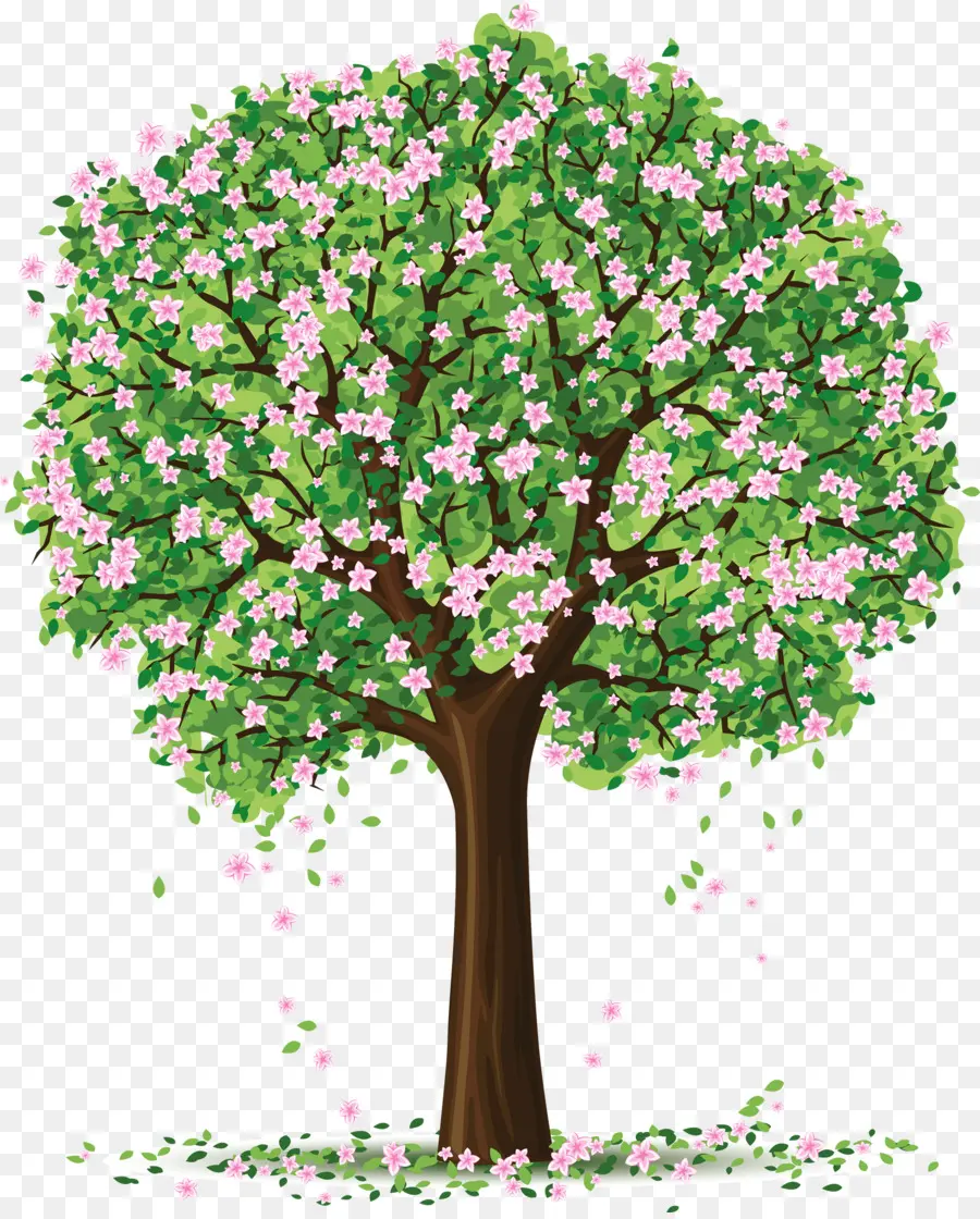 Pohon，Sakura PNG