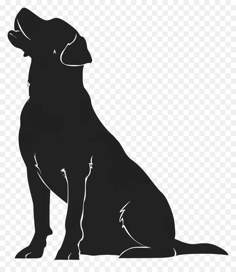 Anjing Siluet，Anjing Breed Besar PNG