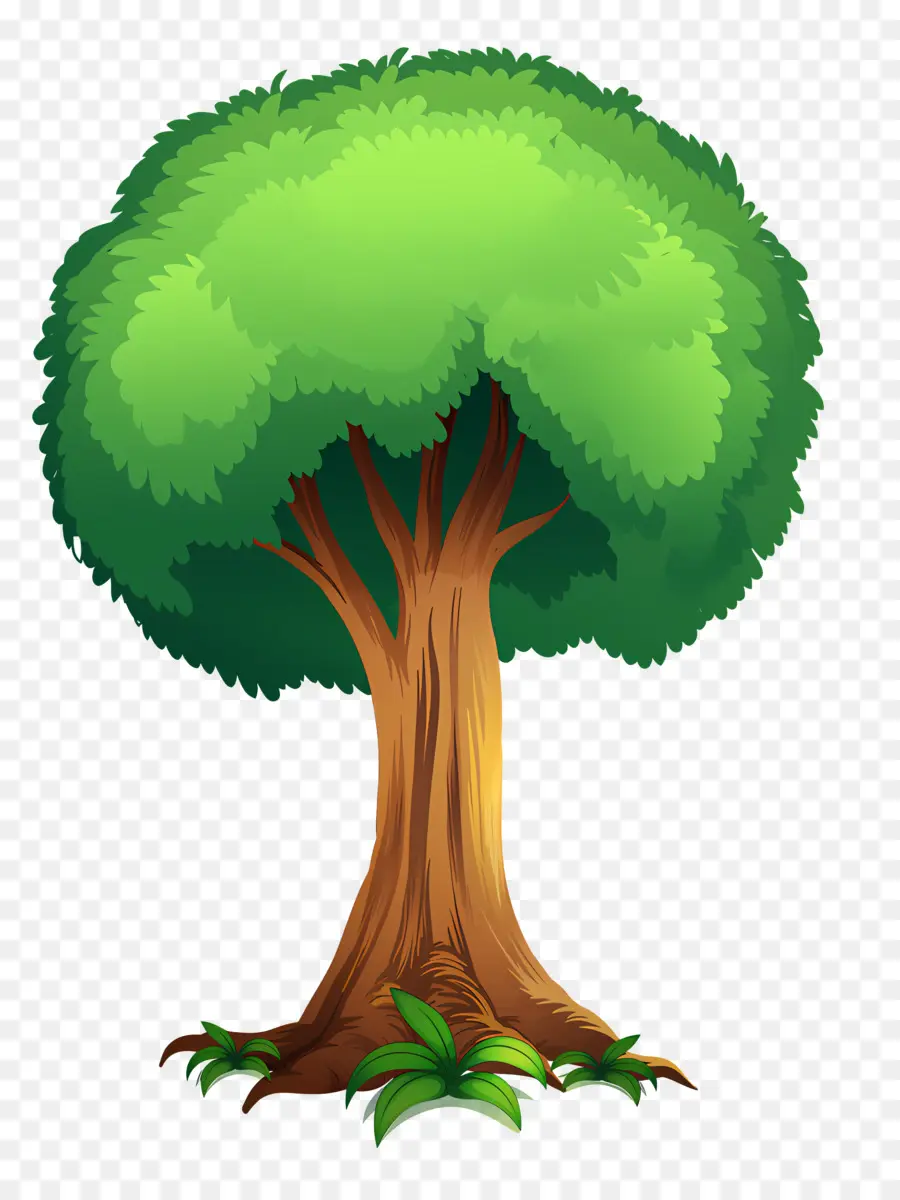 Pohon，Hijau Pohon PNG