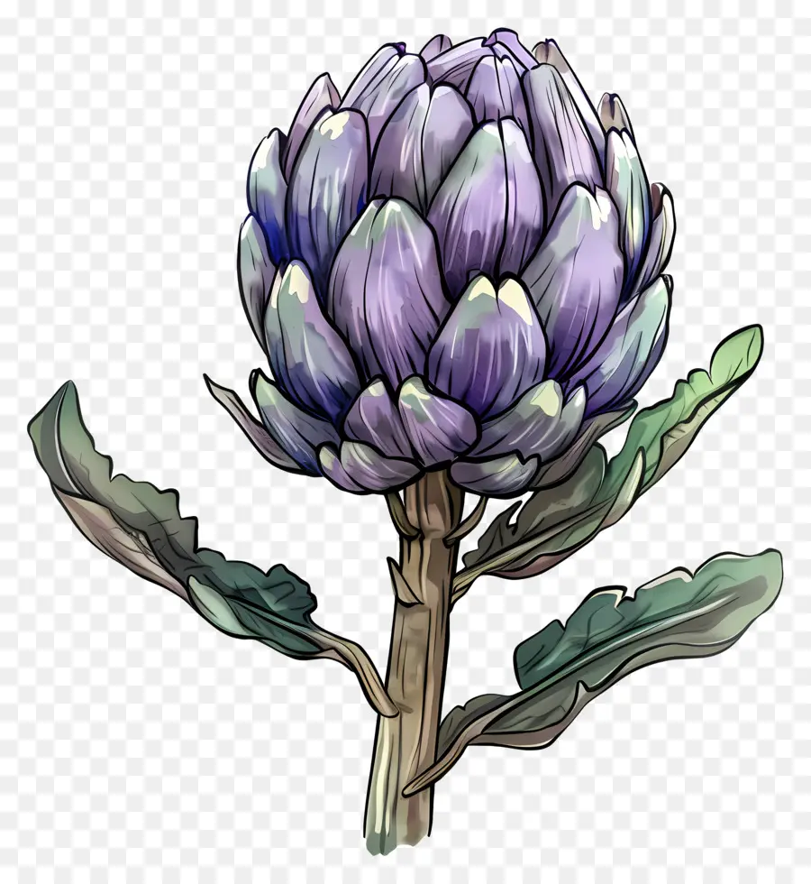 Artichoke，Daun Daun PNG