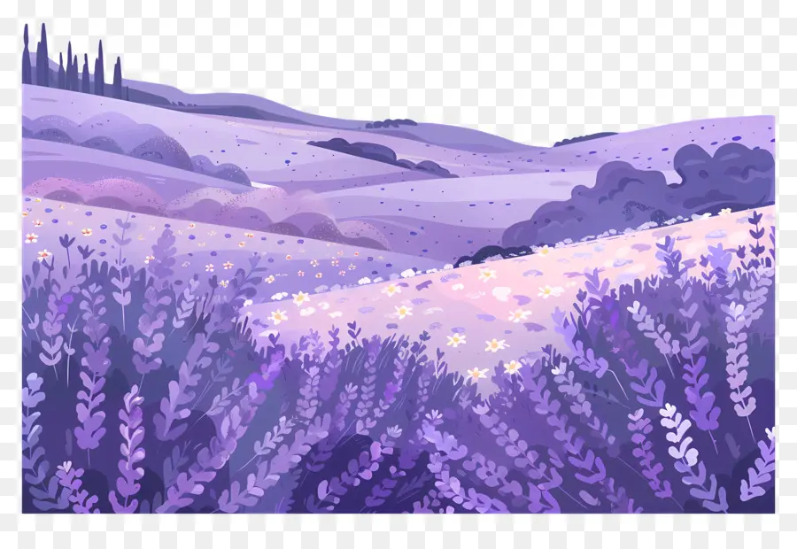 Bidang Lavender，Lavender PNG