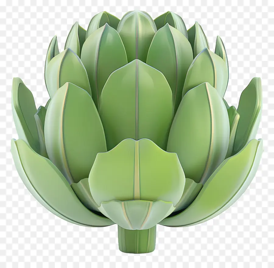 Artichoke，Hijau PNG