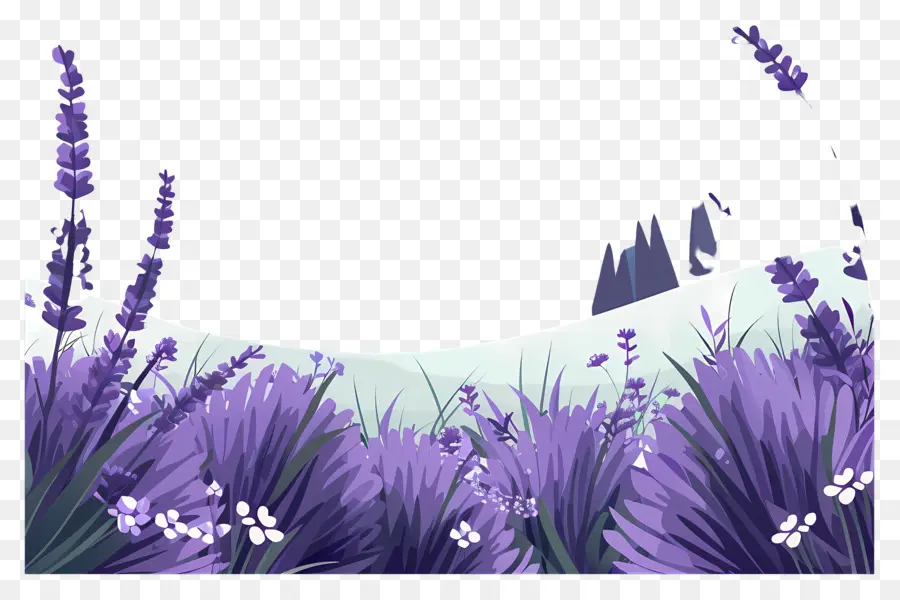 Bidang Lavender，Taman PNG
