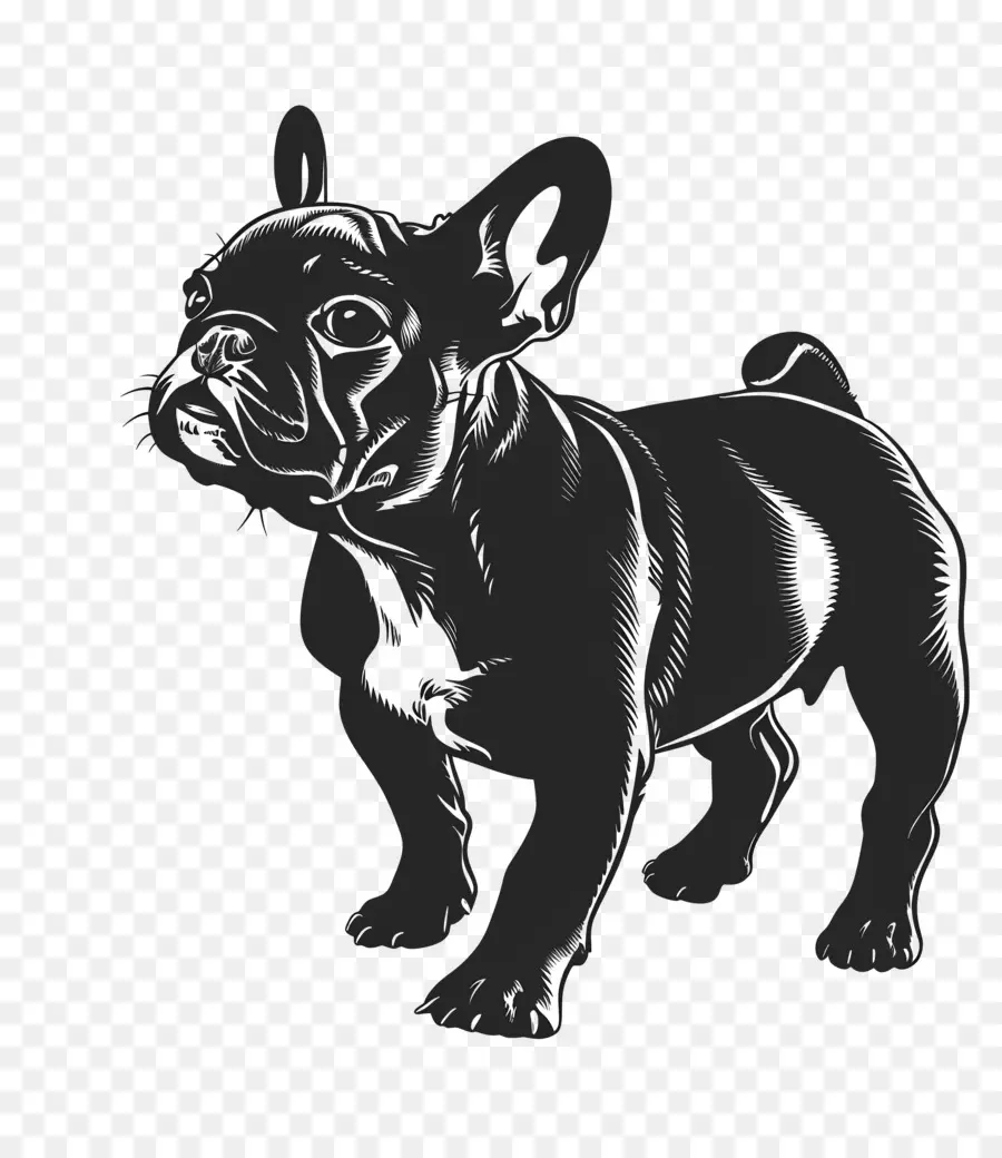 Anjing Siluet，Bulldog Perancis PNG