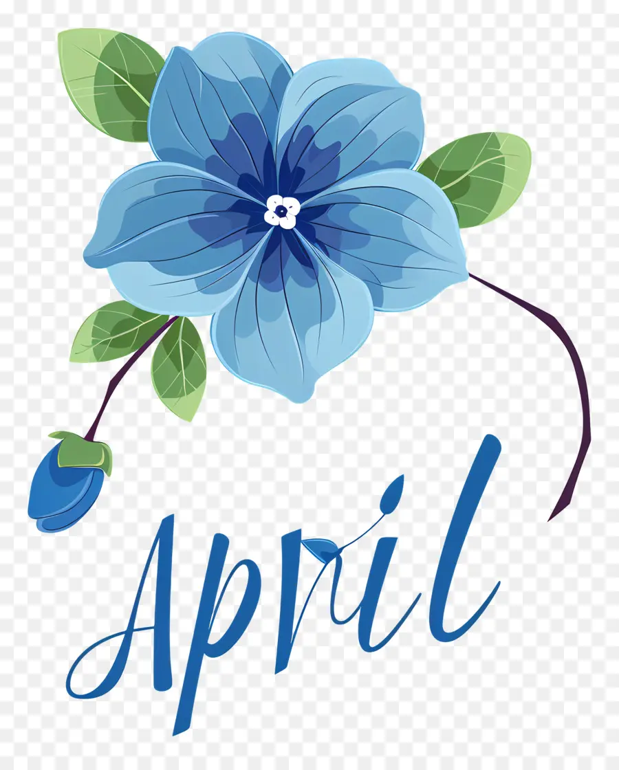 April，Bunga Biru PNG