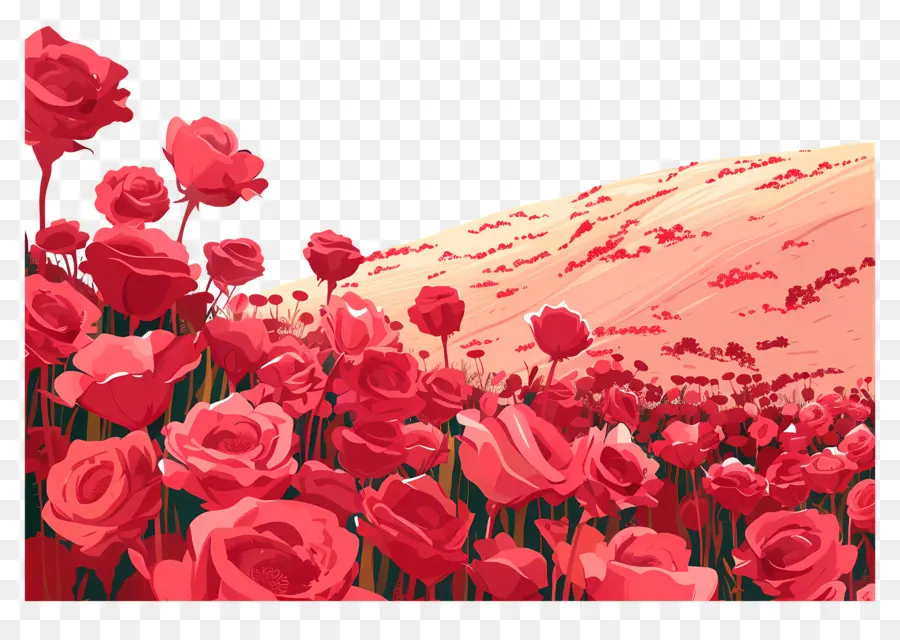 Rose Bidang，Bunga Poppy Merah PNG