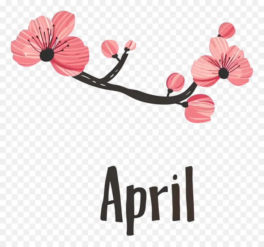 April，Sakura PNG