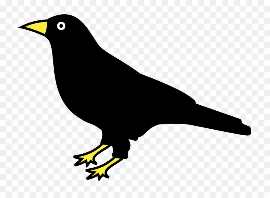 Logo Ravens，Burung PNG