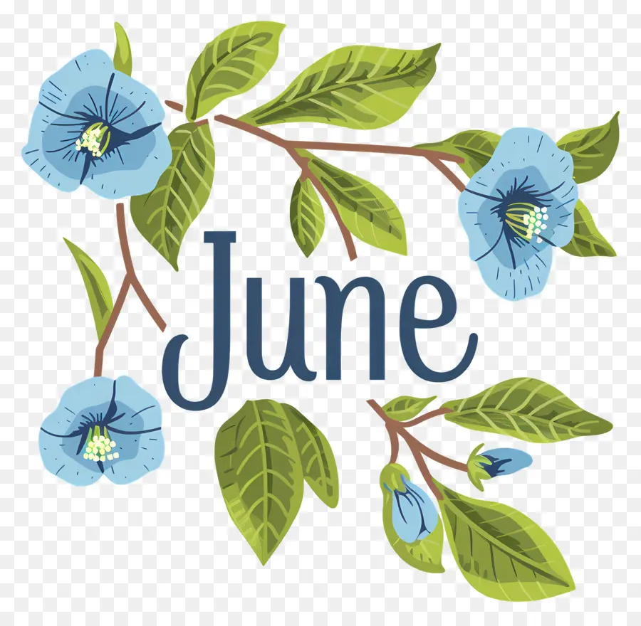 Halo Juni，Juni PNG