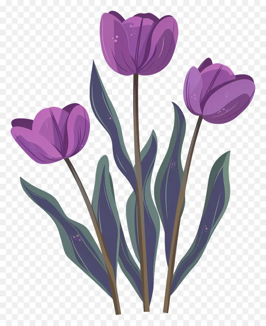 Tulip Ungu，Bunga Ungu PNG