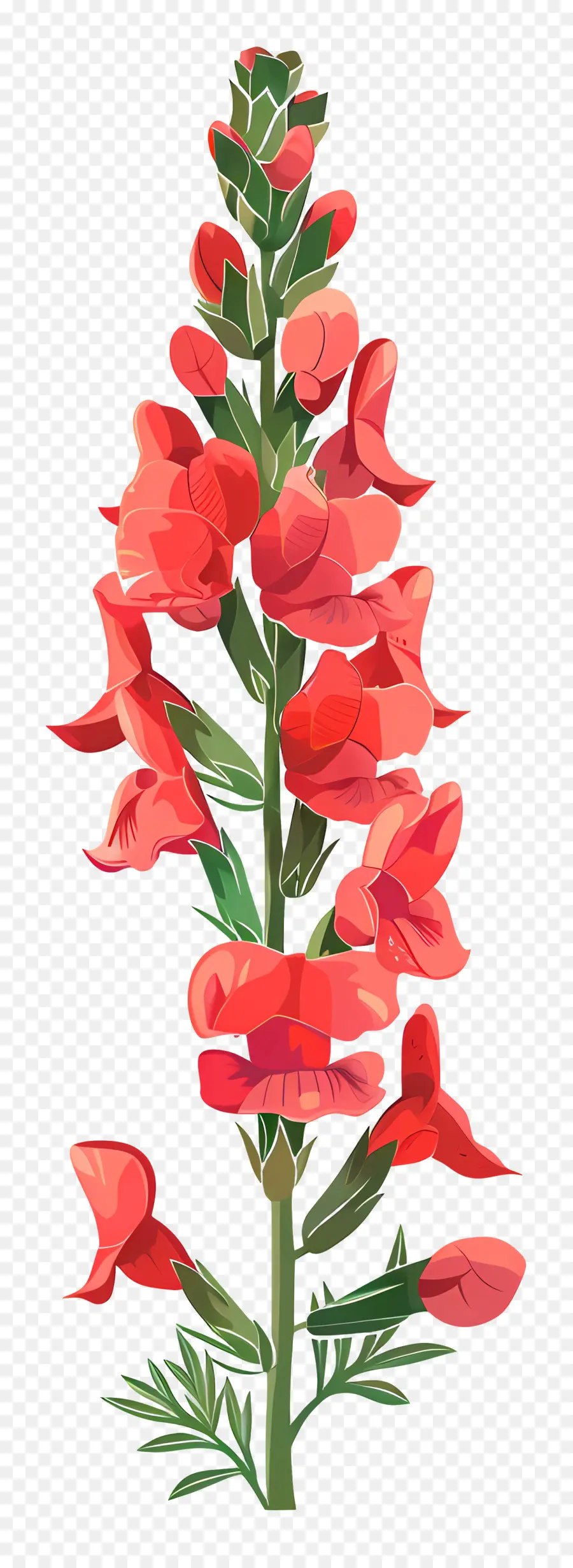 Bunga Snapdragon，Lupin Merah PNG
