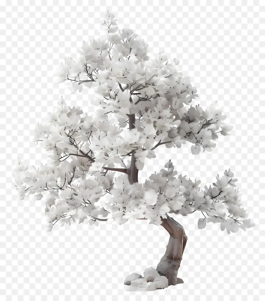 Pohon Pinus Putih，Bonsai Putih PNG