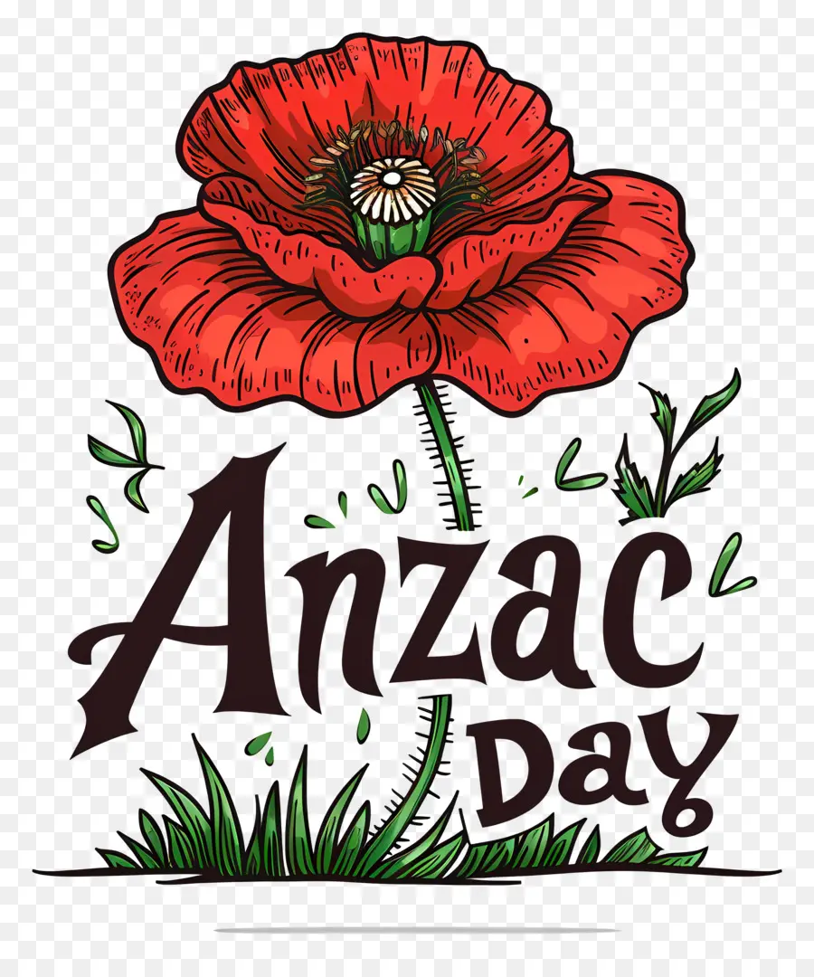 Hari Anzac，Poppy Hari Anzac PNG