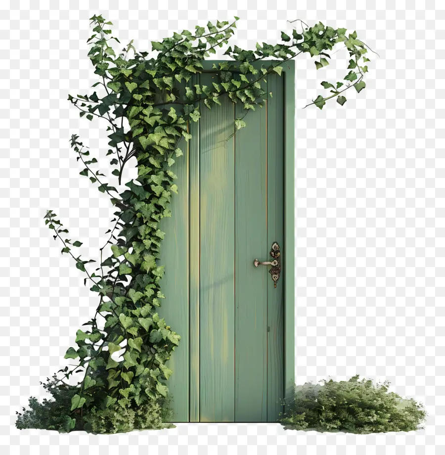 Pintu，Ivy PNG