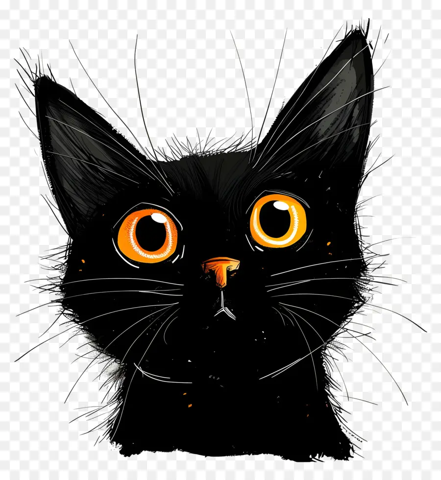 Kucing Hitam，Kucing PNG