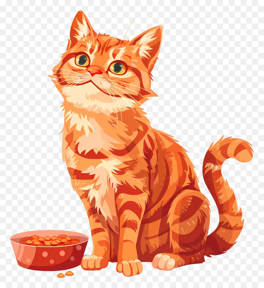 Makanan Kucing，Kucing Tabby Orange PNG