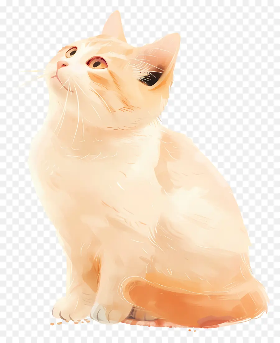 Kucing Putih，Kartun Kucing PNG