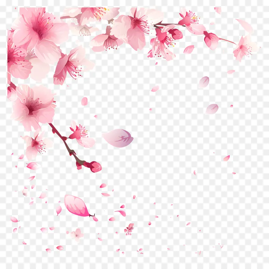 Bunga Sakura Musim Semi，Bingkai Bunga PNG