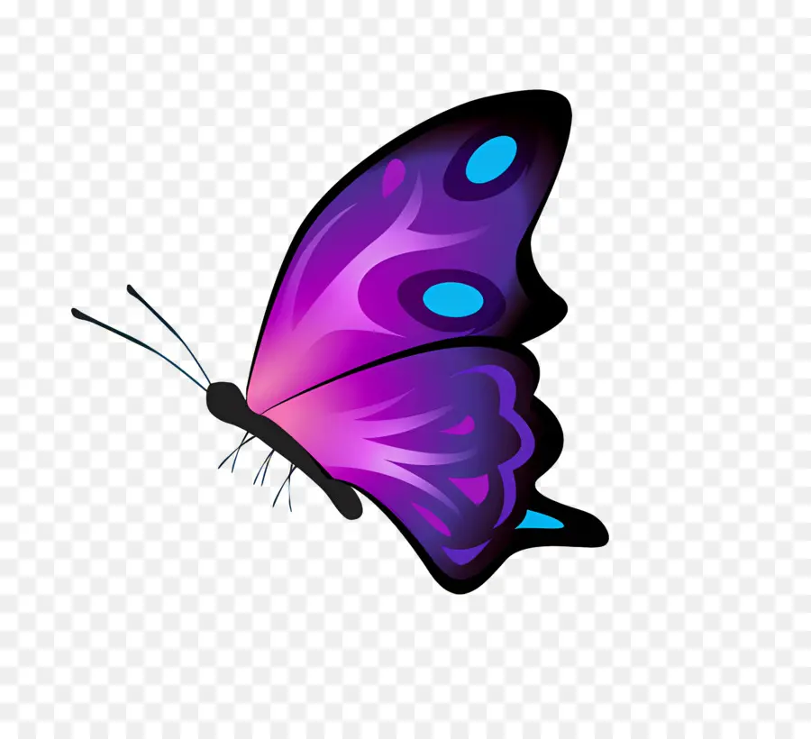 Mariposa，Kupu Kupu PNG