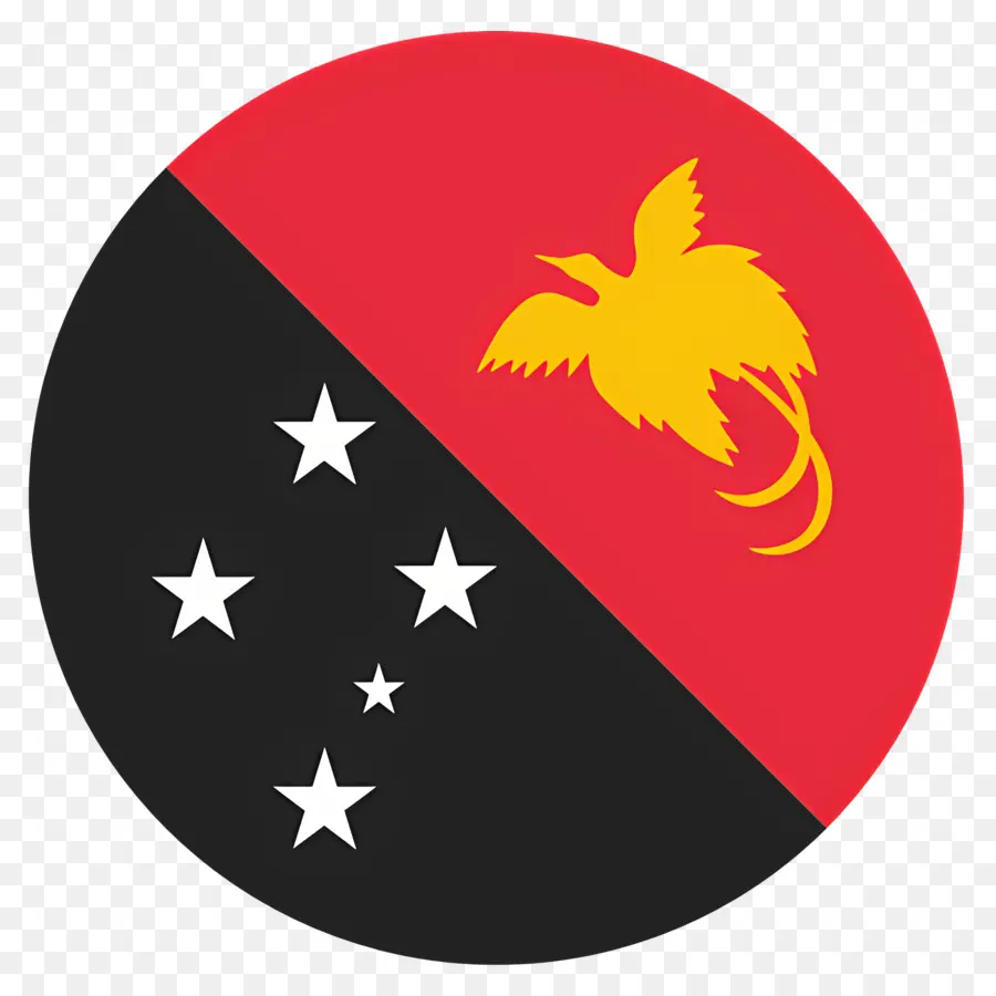 Bendera Papua Nugini，Bendera Fiji PNG
