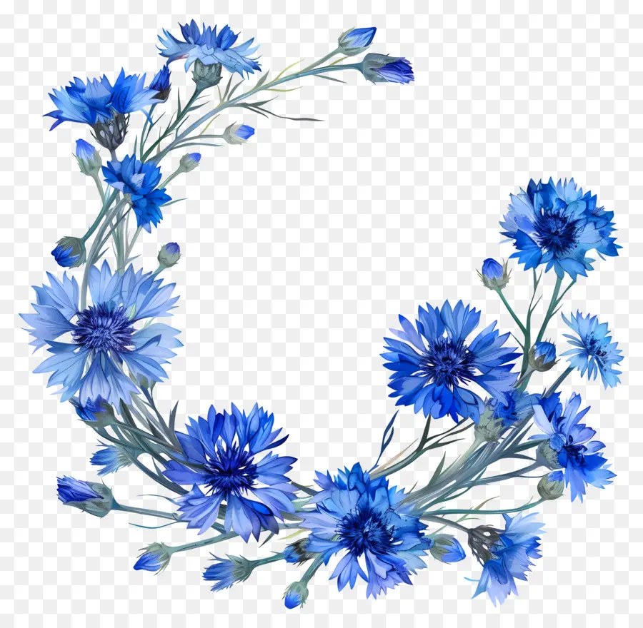 Bunga Jagung Biru，Karangan Bunga Biru PNG